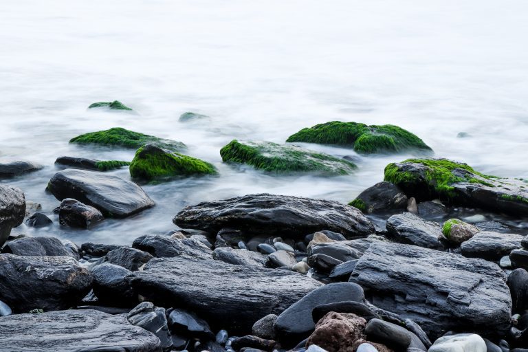 A river flowing through some dark mossy rocks