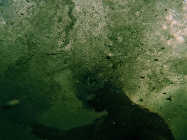 Abstract image of silhouette underwater in green tones